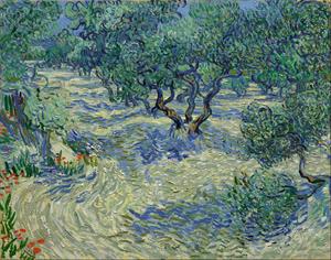 975px-Vincent_van_Gogh_-_Olive_Orchard_-_Google_Art_Project.jpg