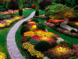 flower-garden-640x480.png