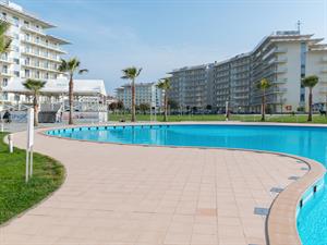 Ms VectorPlus Shutterstock.jpg