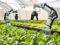 shutterstock_1969644328_robotic arms in farm_robotiskās rokas fermā.jpg