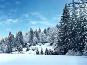 Shutterstock_724564558_winter_ziema.jpg