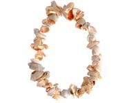 Shutterstock_685392670_shells necklace_gliemežvāku kaklarota.jpg