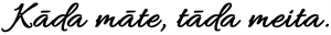 YCUZD_240908_fonti_var1_nr3.png