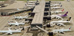 BasPhoto Shutterstock.jpg