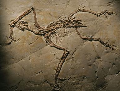 creative_wallpaper_archeology_019602_.jpg