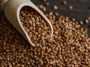 Shutterstock_1641193342_buckwheat_griķi.jpg