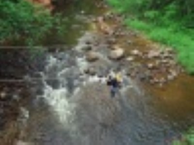 Agnese Meiere - Dzintare