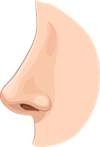 YCUZD_250804_nose.png