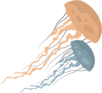 YCUZD_230709_5338_picture__die Qualle.png
