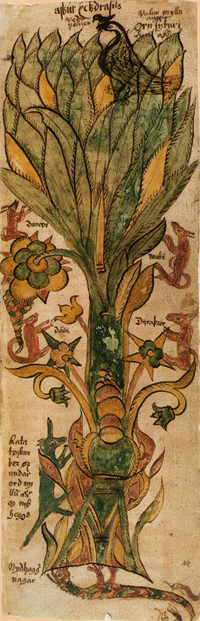 WIKI_20072026_AM_738_4to_Yggdrasill.png