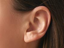 shutterstock_2467840499_ear_auss.jpg