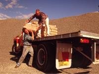 Steve Lovegrove Shutterstock.jpg