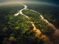 shutterstock_2325287311_The Amazon River_Amazones upe.jpg