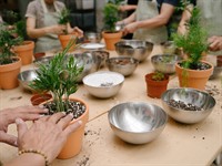 shutterstock_2481939637_houseplants replanting_pārstāda istabas augus.jpg
