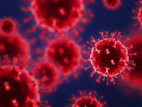 Shutterstock_1734829064_Covid-19 cells_Covid-19 šūnas.jpg