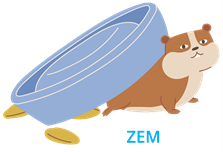 ZEM.png