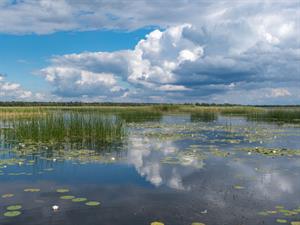 Shutterstock_1787465729_lubans lake_ezers lubāns.jpg