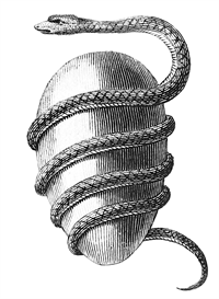 WIKI_10062026_Orphic-egg.png