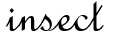 insect.png