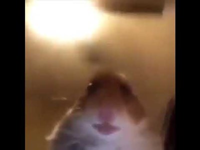 Polina Majorova-Šika