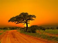 Shutterstock_2116713002_natinal park_nacionālais parks.jpg