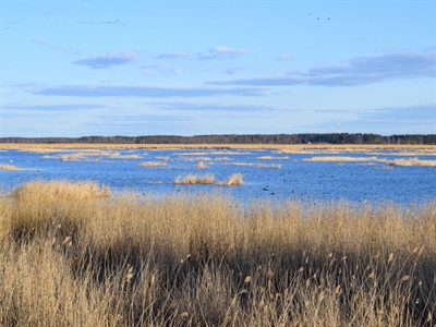 Shutterstock_2040555203_Babite lake_Babītes ezers.jpg