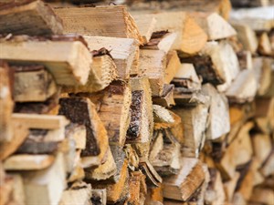 shutterstock_1423874942_firewood_malka.jpg