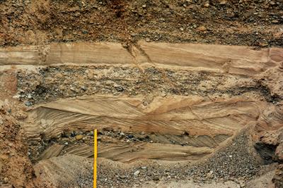 WhatsApp Image 2020-10-06 at 23.11.24.jpeg