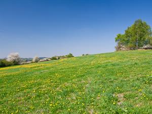 shutterstock_30251527_field_pļava.jpg