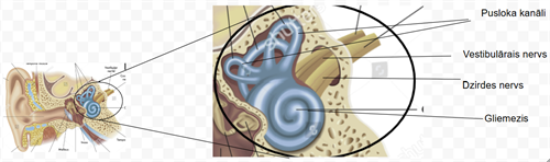 Screenshot 2026-09-15 124725.png