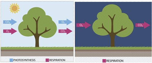 Screenshot 2026-03-12 121614.png