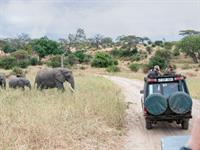 C. Na Songkhla Shutterstock_safari.jpg