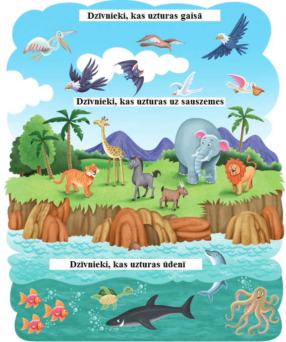 dzivnieki_vide.png
