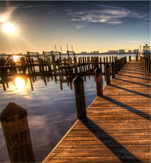 saule_spid Asset 11.png