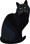 YCUZD_230709_5338_picture__der Katze.png