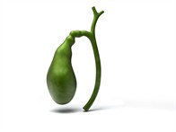 Shutterstock_201854125_gall bladder_žultspūslis.jpg
