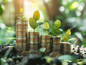 shutterstock_2489900709_Money growing_Nauda aug.jpg