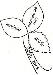baltu_zars.png
