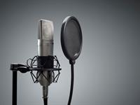 Shutterstock_1921946528_microphone_mikrofons.jpg