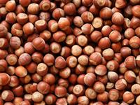 Shutterstock_2028616601_hazelnut_lazdu rieksti.jpg