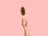 Shutterstock_1720382806_hair brush_ķemme.jpg