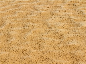 Shutterstock_2589721749_ sand_smiltis.jpg
