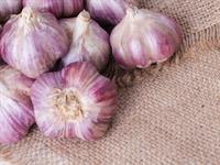 shutterstock_1293396469_garlic_ķiploki.jpg