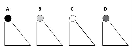 bumbinas ripo-01.jpg