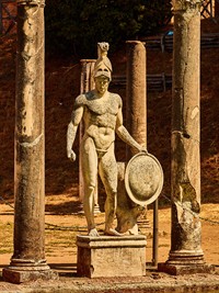 OSTILL is Franck Camhi Shutterstock_Ares_Arejs.jpg