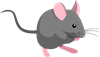 YCUZD_230814_5460_mouse_pele.png