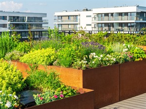 Shutterstock_2460165371_garden on roof_dārzs uz jumta.jpg