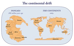 shutterstock_2125156406_continental drift_kontinentu dreifs.jpg