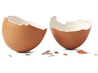 Shutterstock_2278405695_egg shell_olu čaumalas.jpg