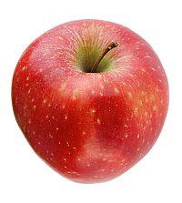 apple.png